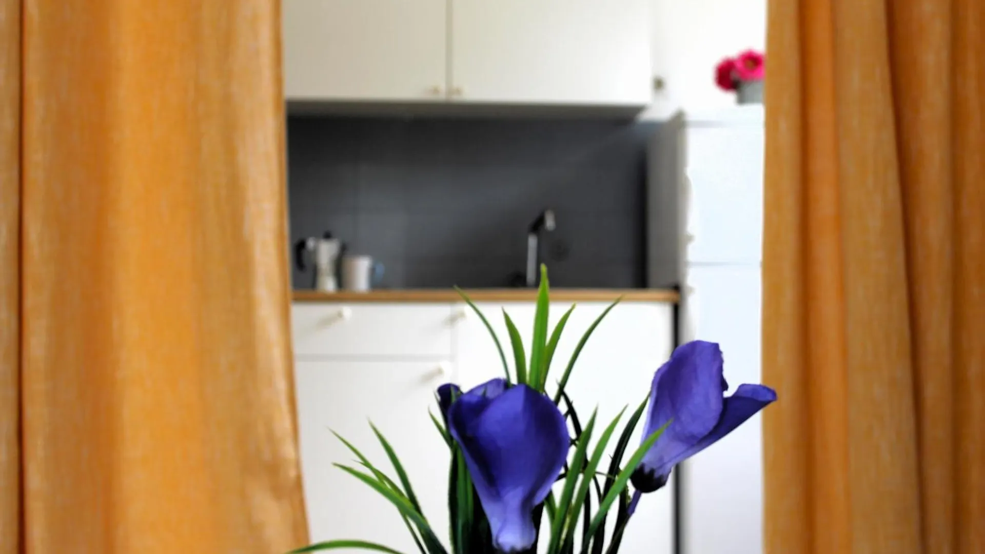Family Apartments Jimmy - City Center 파그